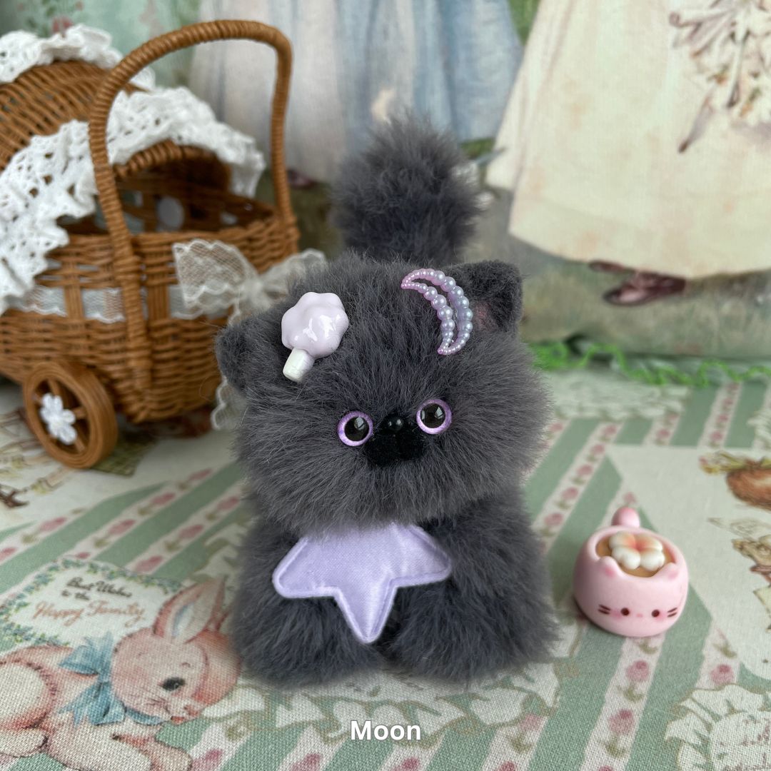Gray Kitten Collection