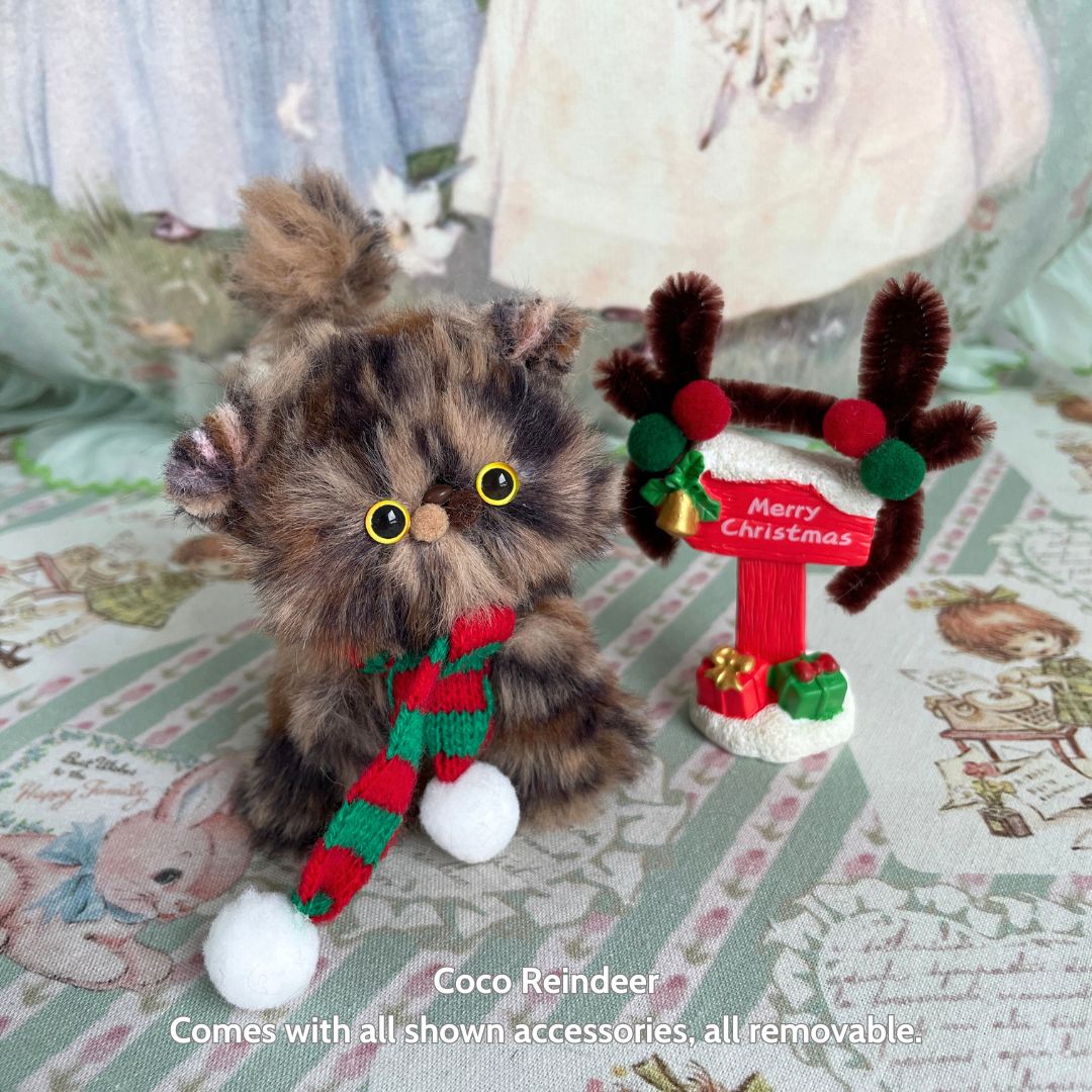 Christmas Kitten Collection