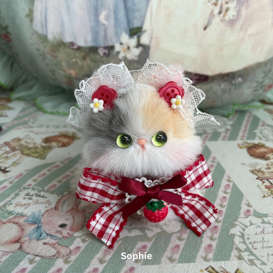 Cosplay Kitten Collection