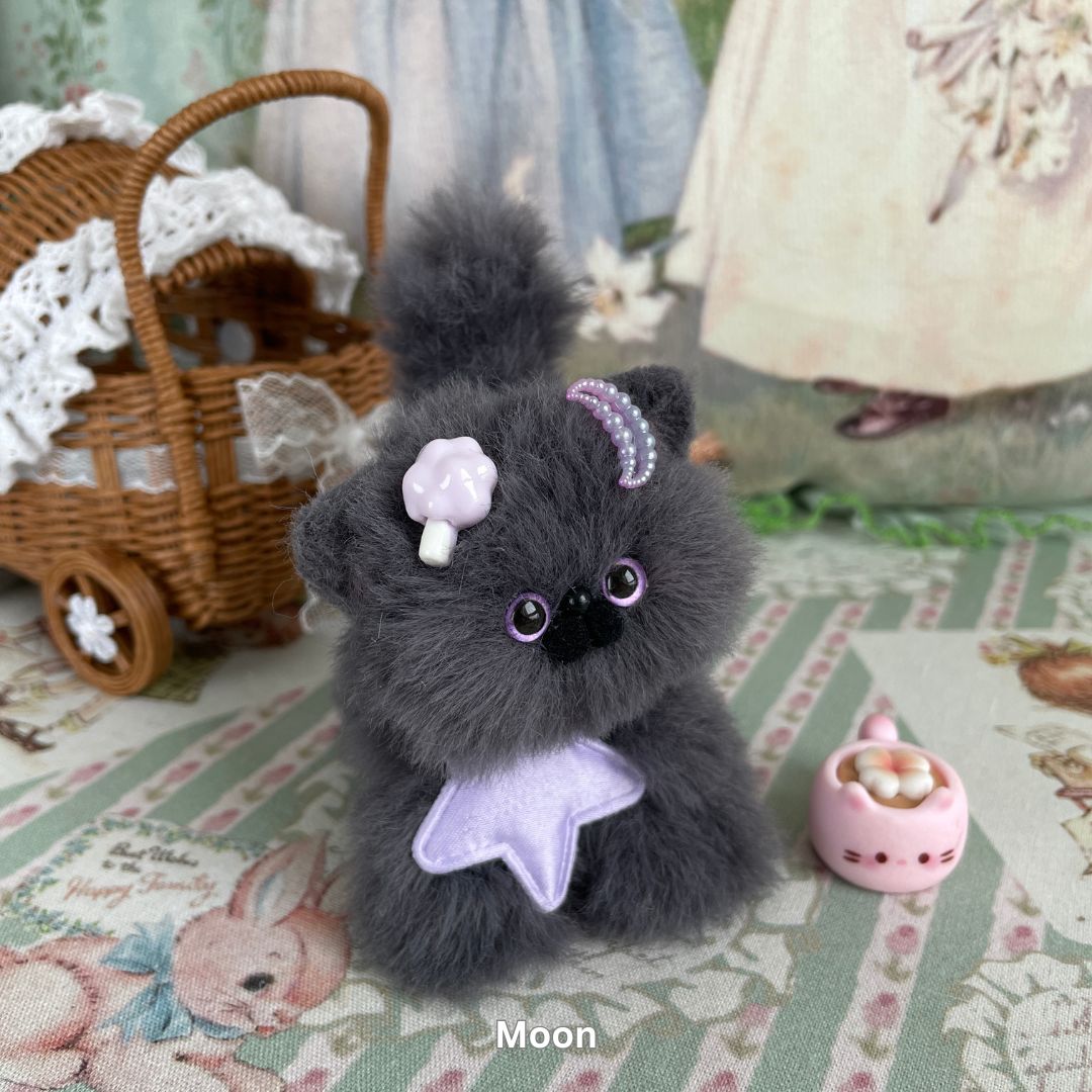 Gray Kitten Collection