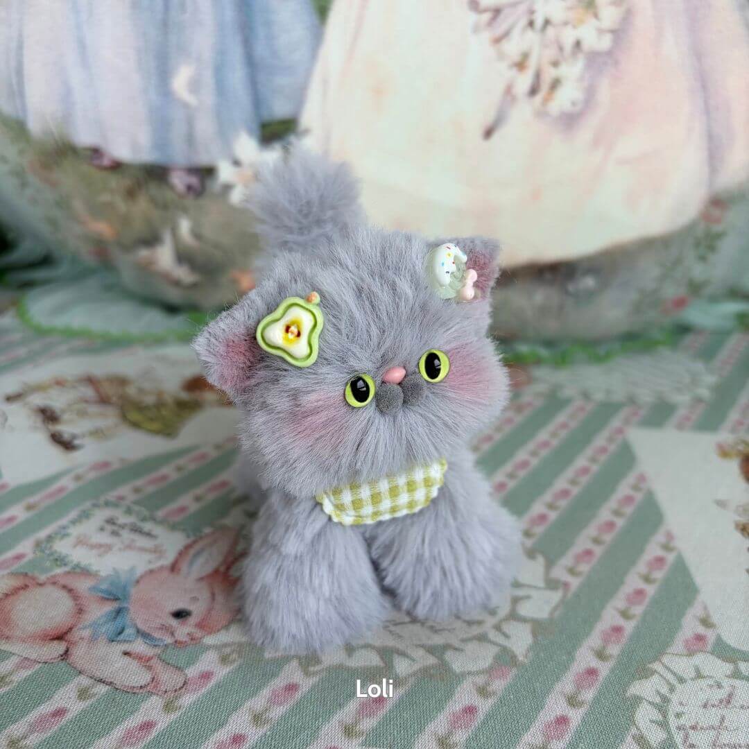 Grey Kitten Collection