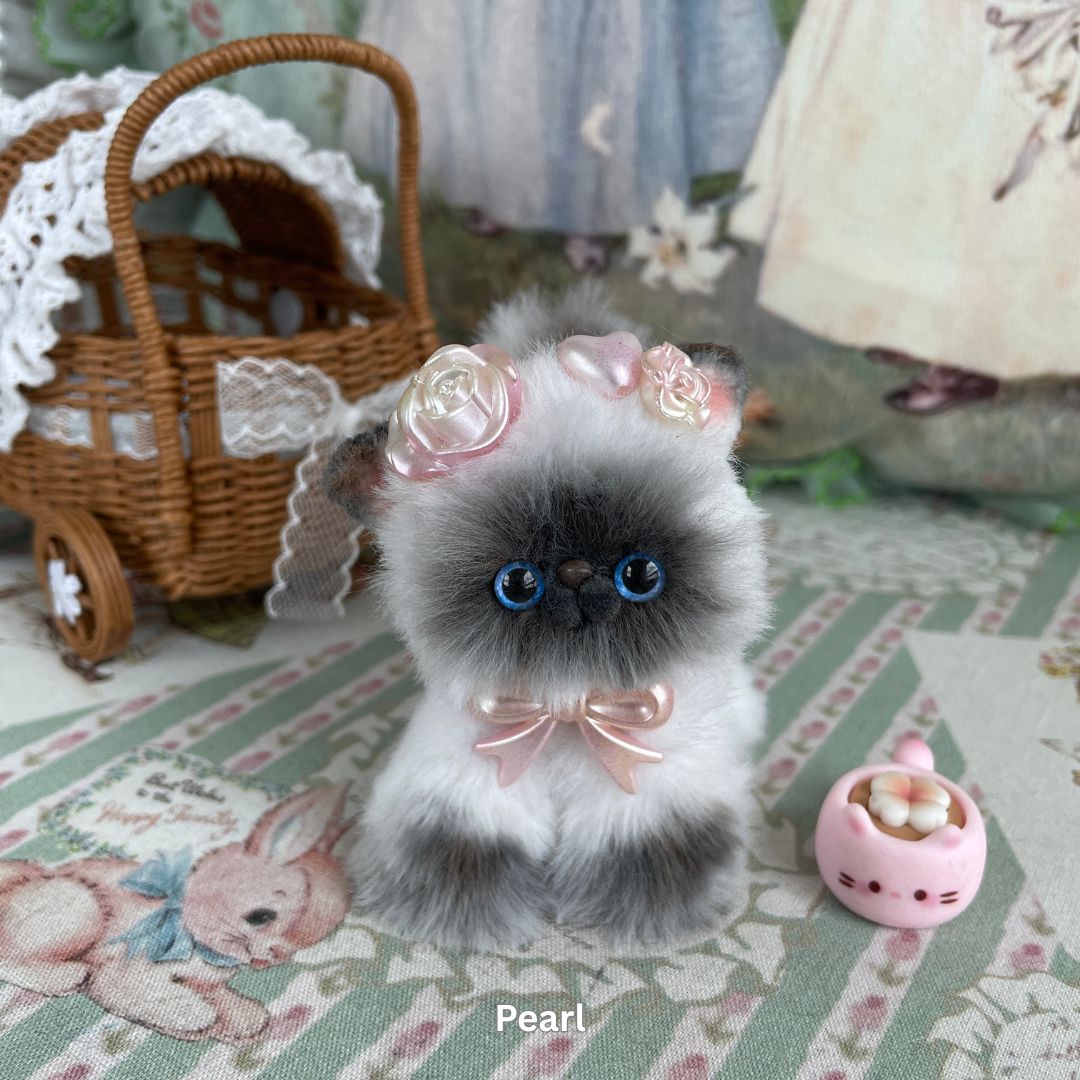 Adorable Kitten Collection