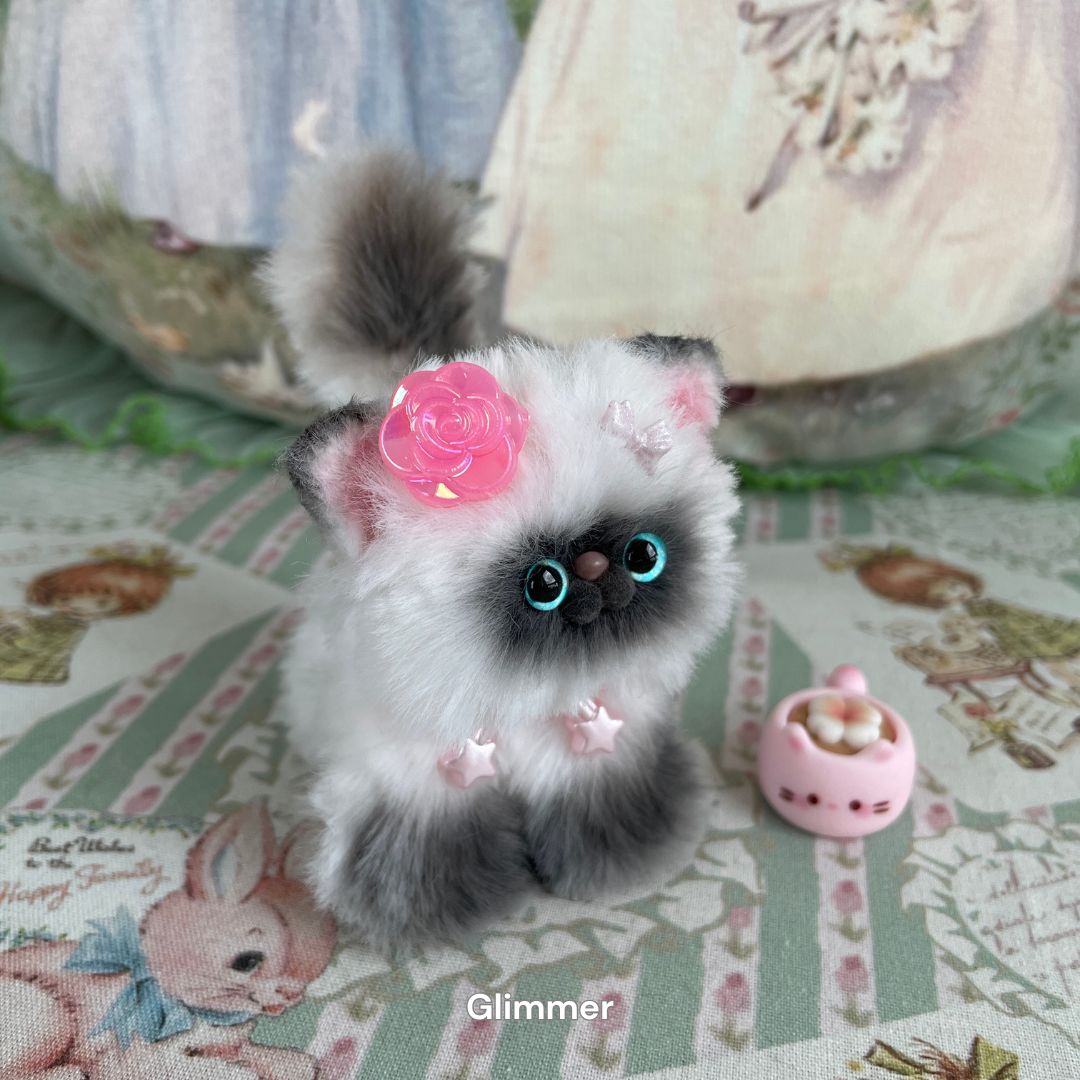 Adorable Kitten Collection