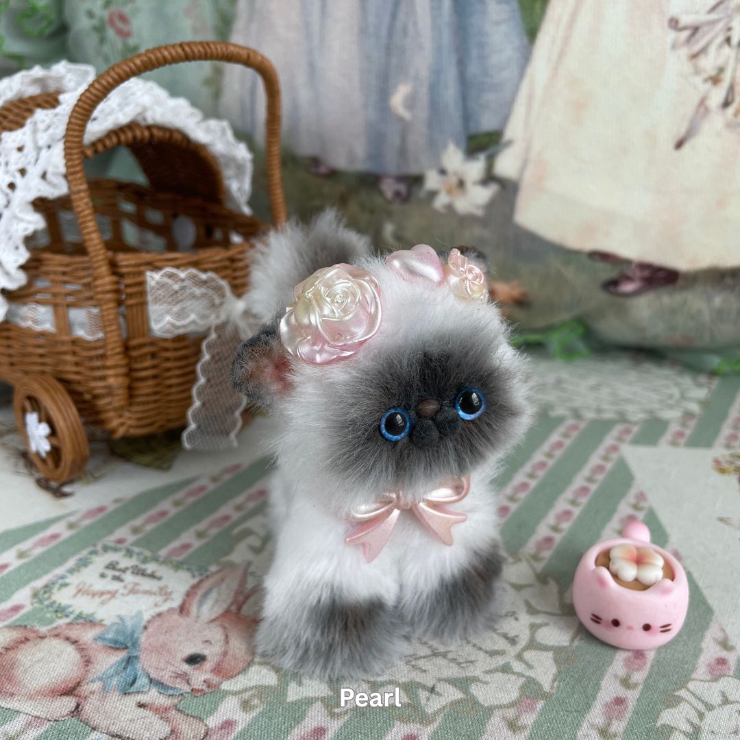 Adorable Kitten Collection