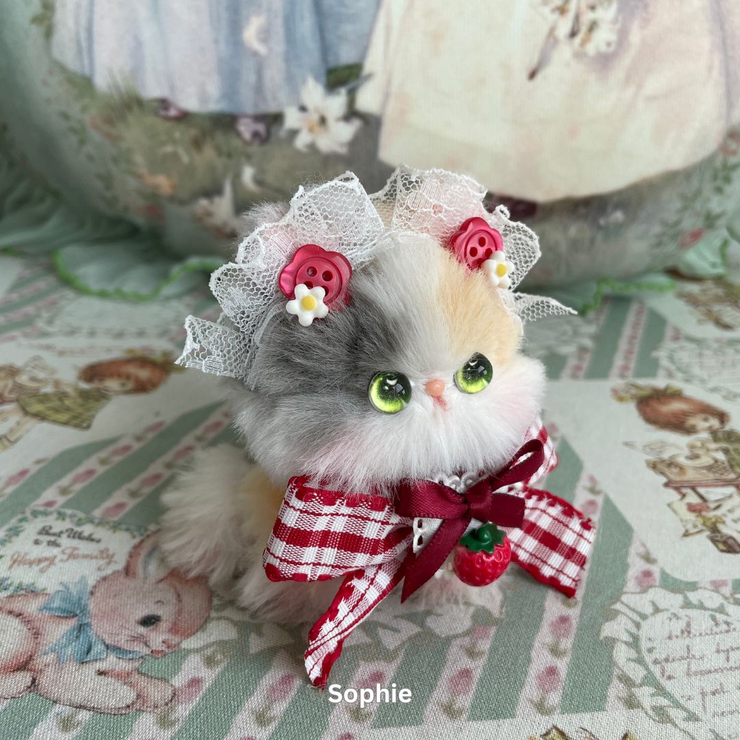 Cosplay Kitten Collection