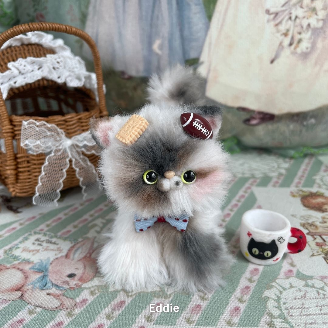 Adorable Kitten Collection