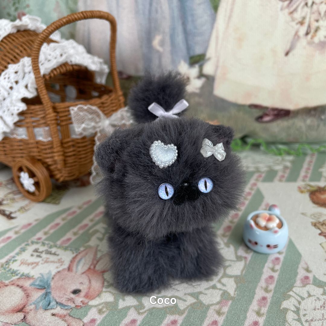 Gray Kitten Collection