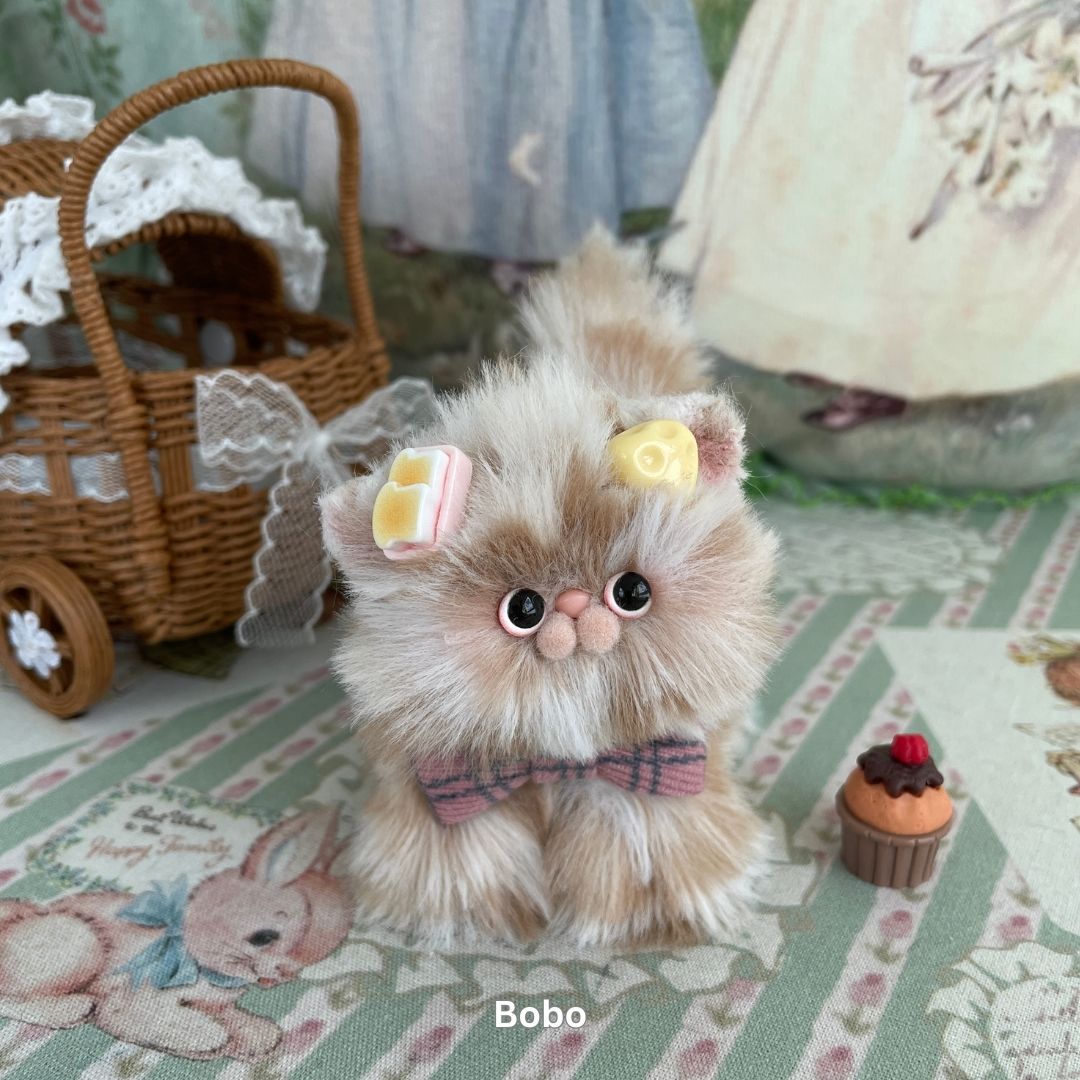 Adorable Kitten Collection
