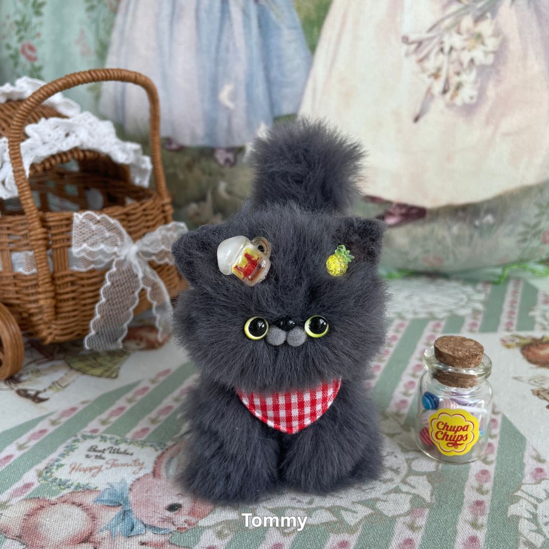 Gray Kitten Collection
