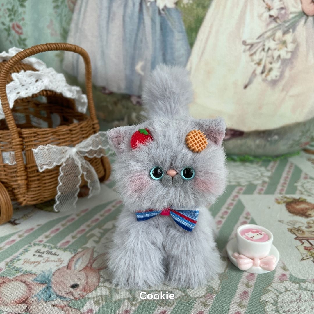 Gray Kitten Collection