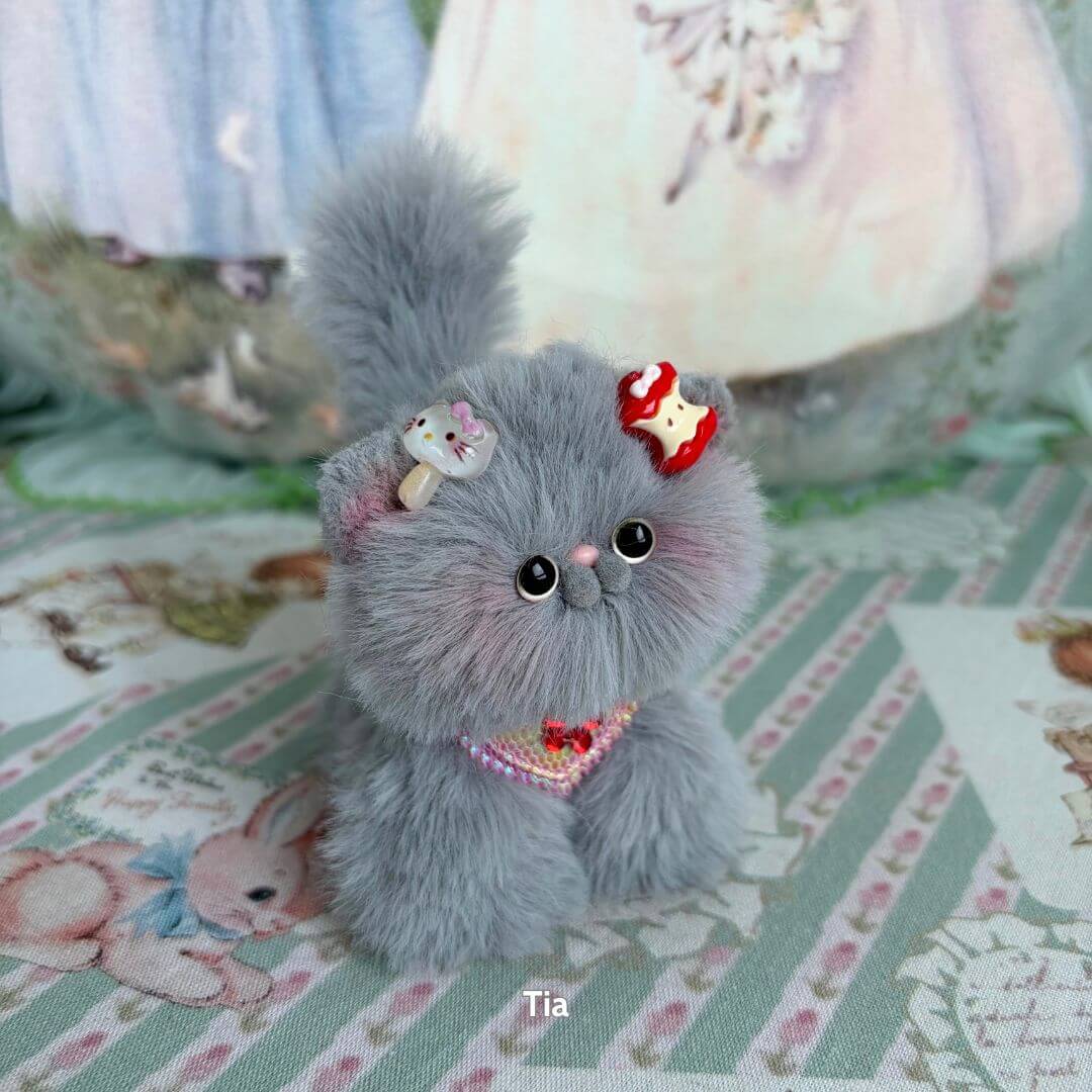 Grey Kitten Collection