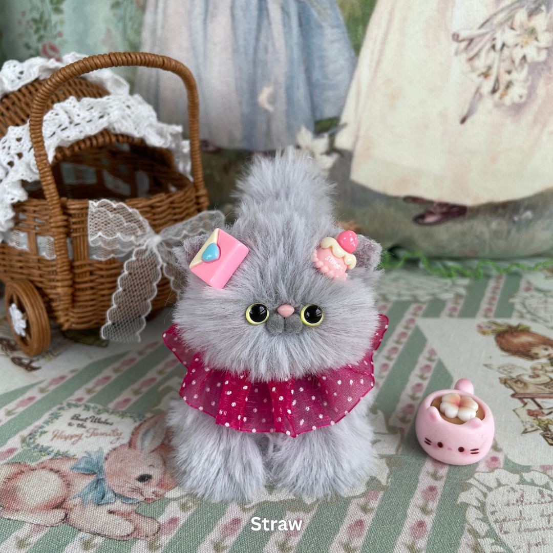 Gray Kitten Collection