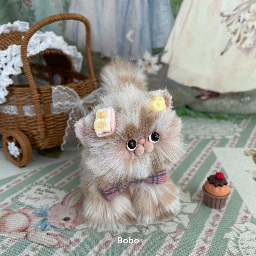 Adorable Kitten Collection