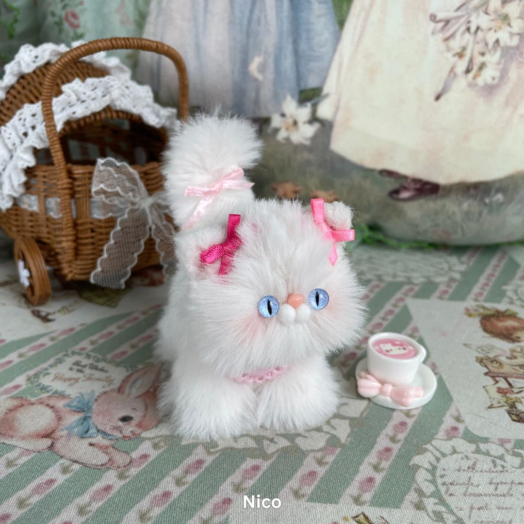 White Kitten Collection