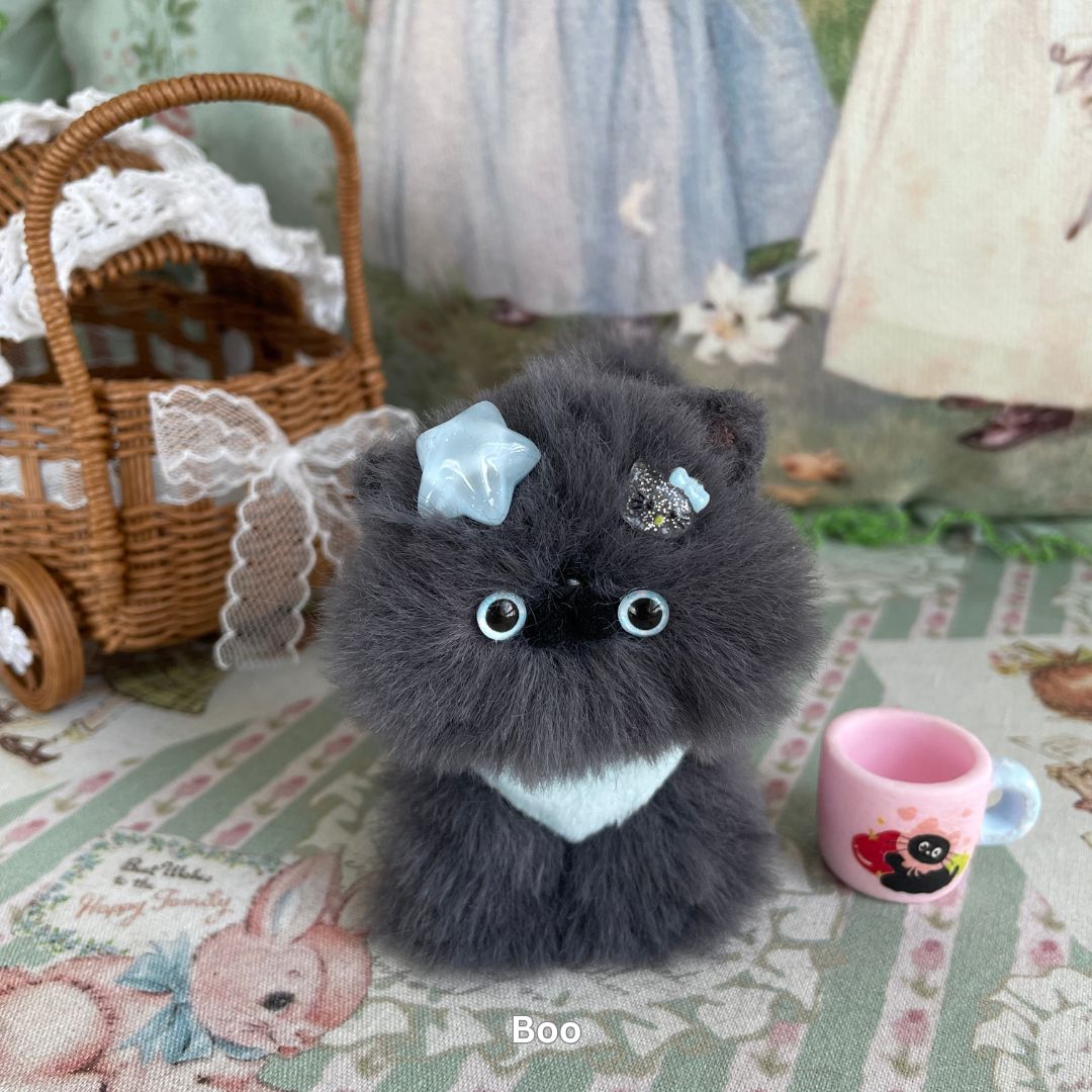Gray Kitten Collection