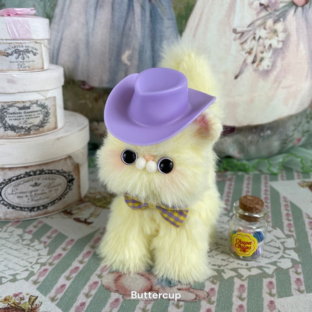 Dress-Up Kitten Collection