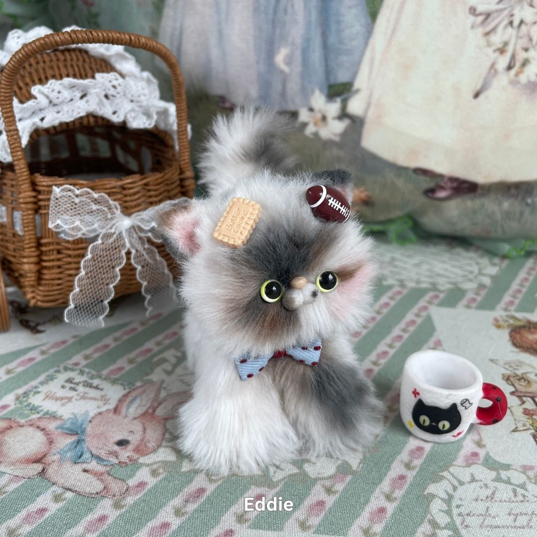 Adorable Kitten Collection