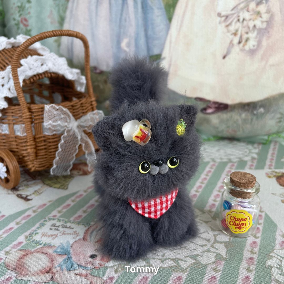 Gray Kitten Collection