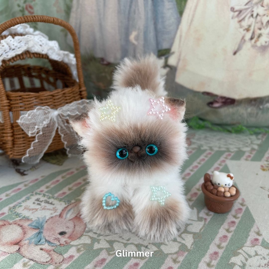 Adorable Kitten Collection