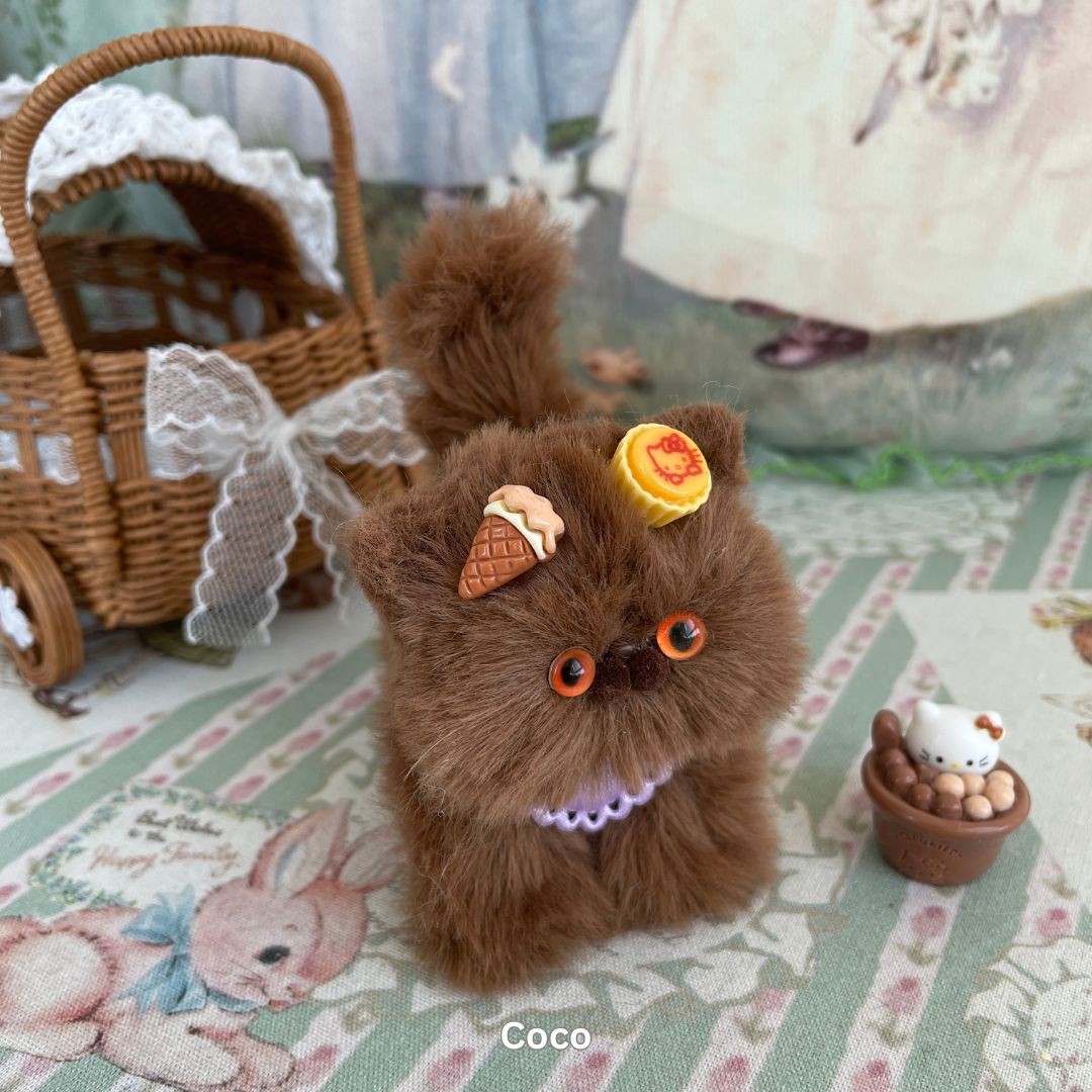 Brown Kitten Collection