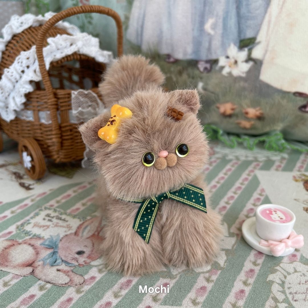 Brown Kitten Collection