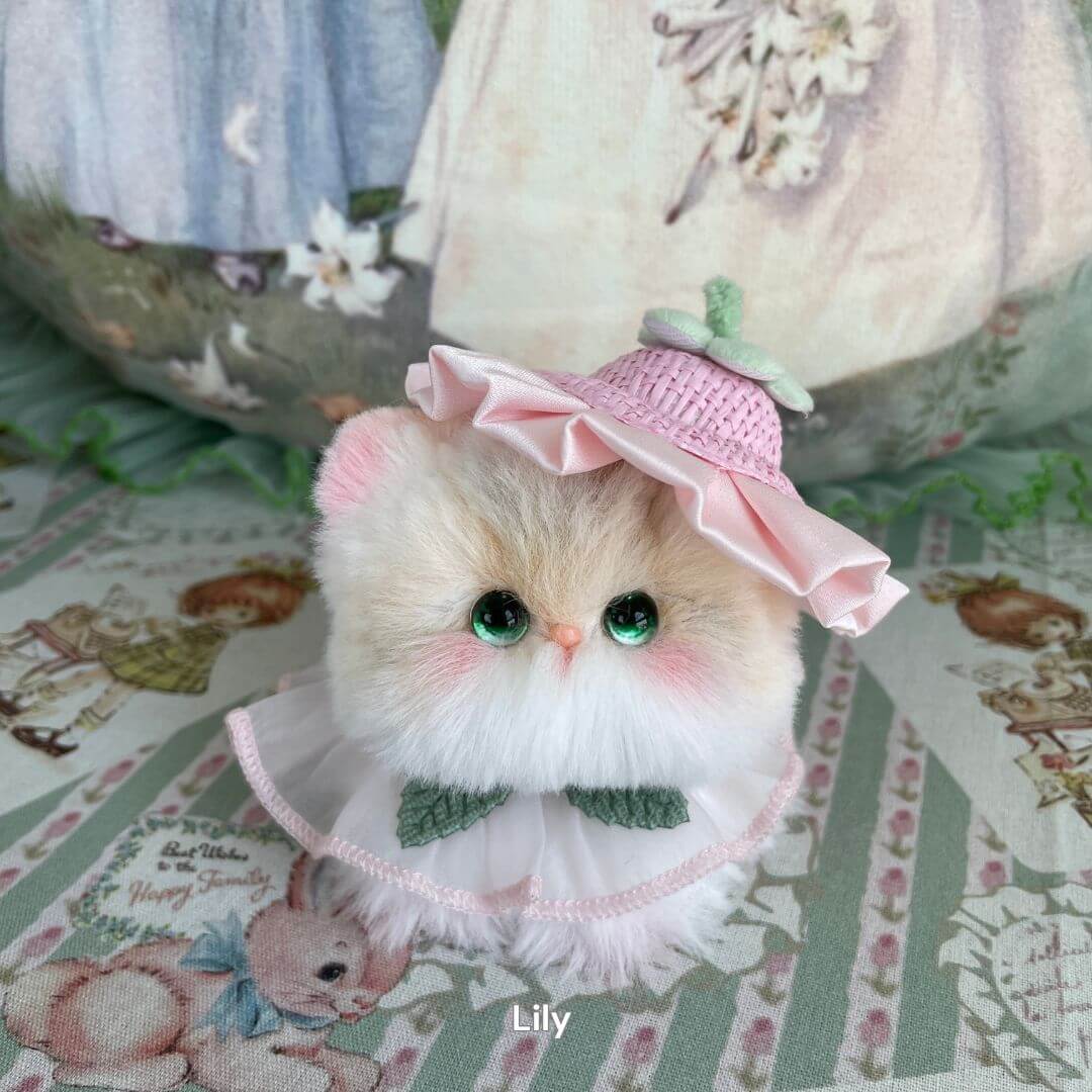 Fairy Paws Collection