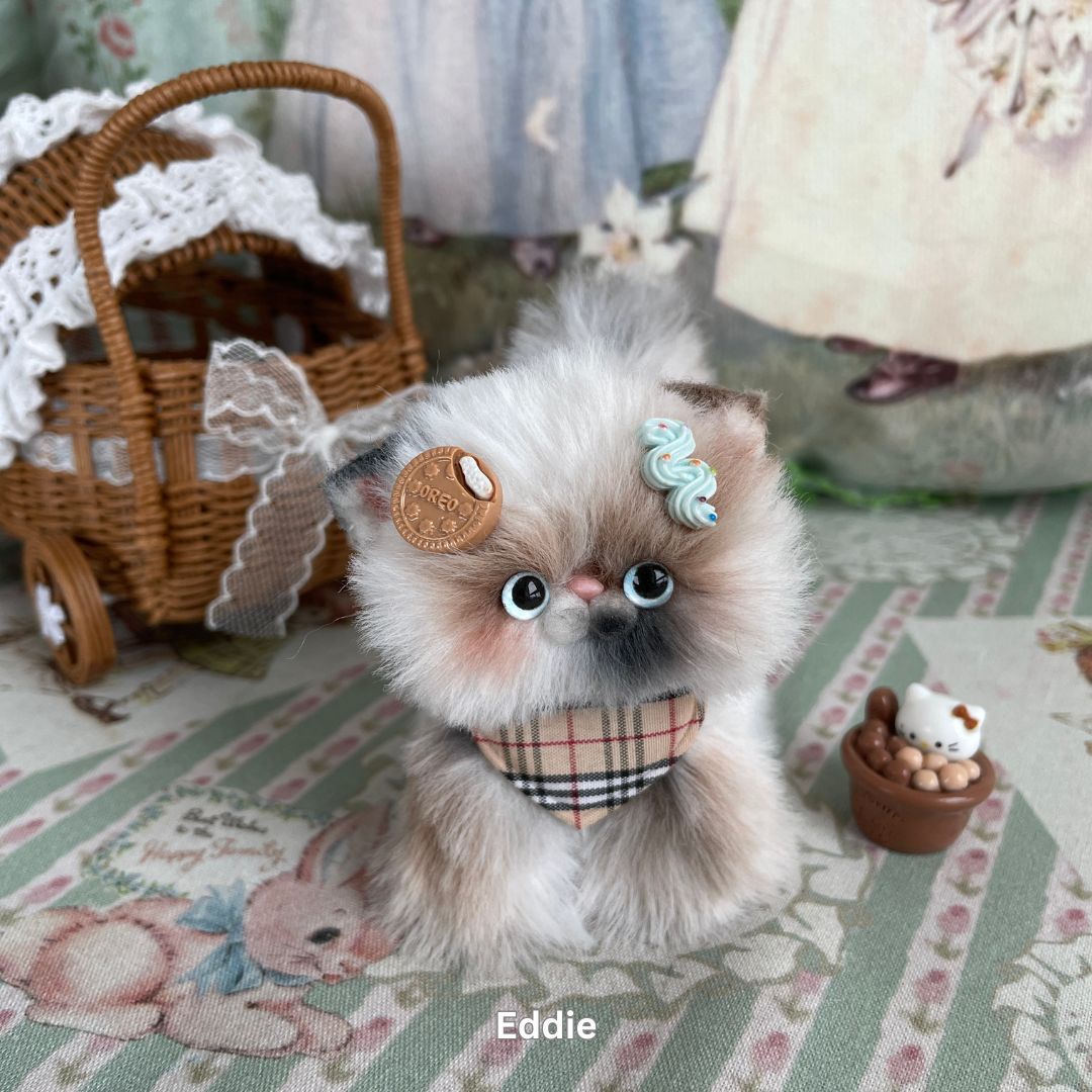 Adorable Kitten Collection