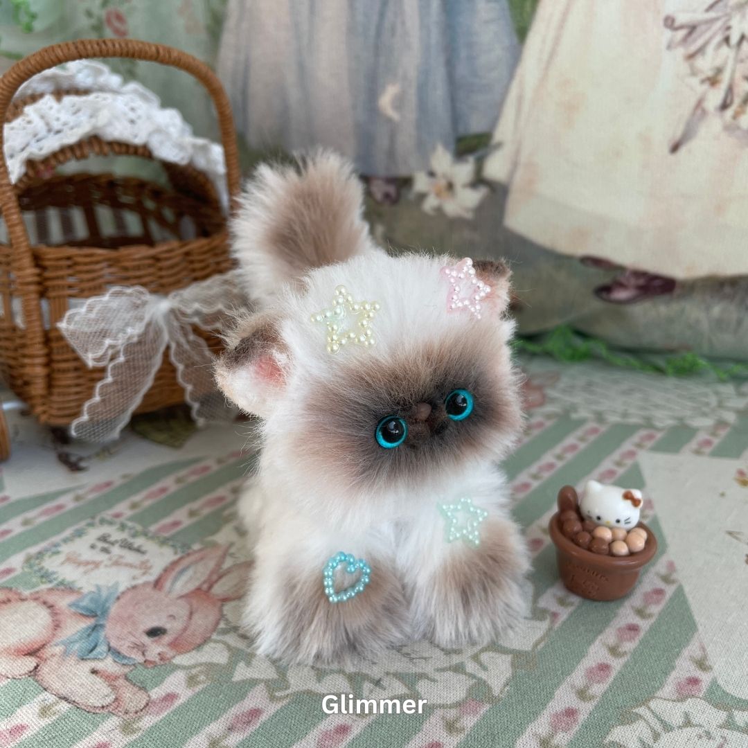 Adorable Kitten Collection