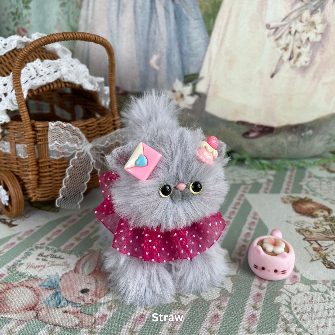 Gray Kitten Collection