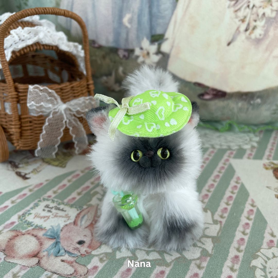 Adorable Kitten Collection