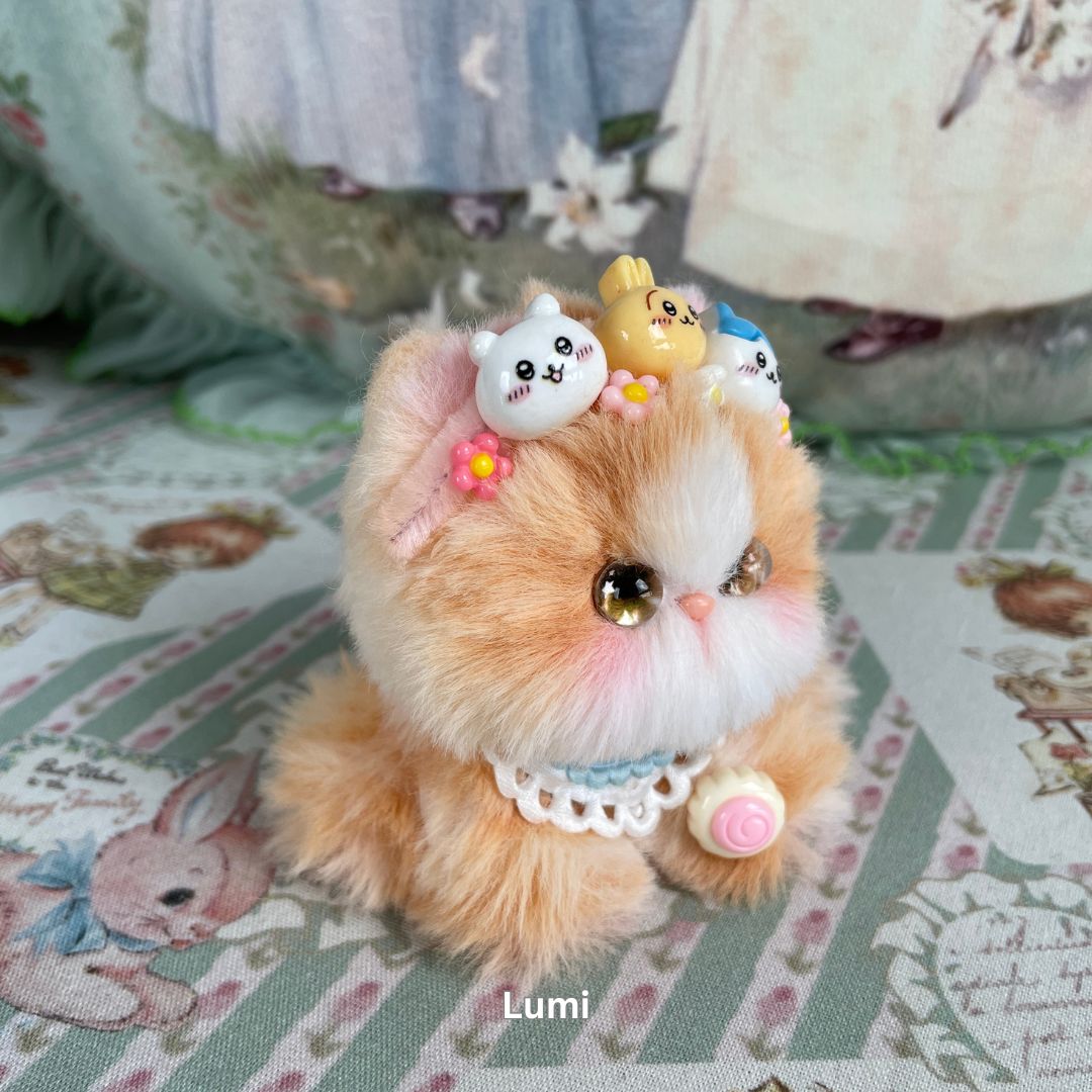 Cosplay Kitten Collection