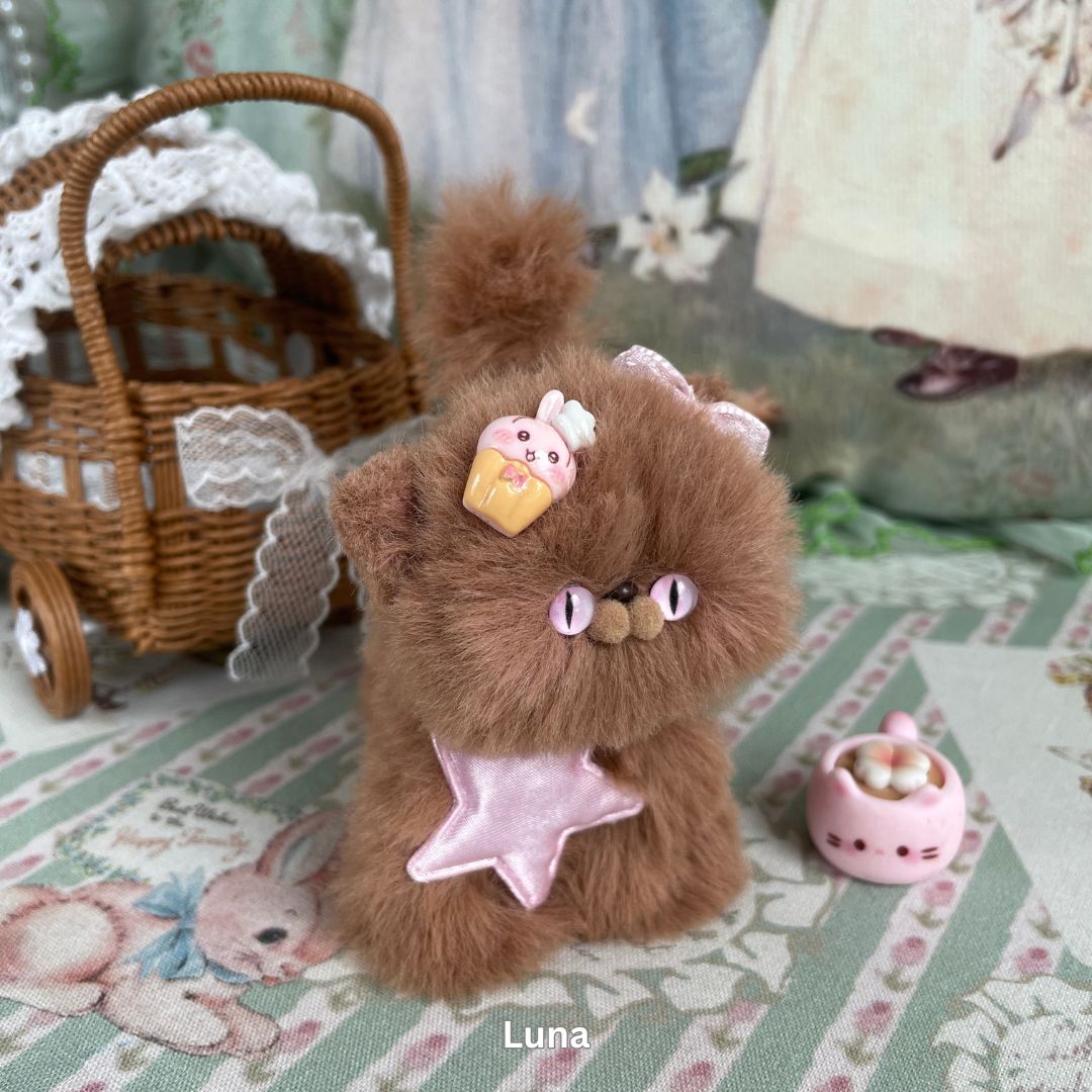 Brown Kitten Collection