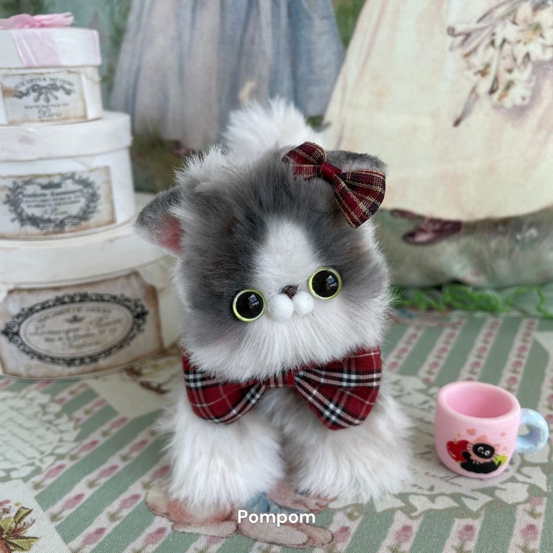 Dress-Up Kitten Collection