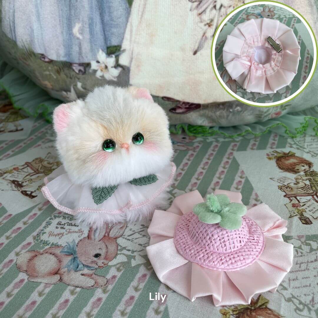 Fairy Paws Collection