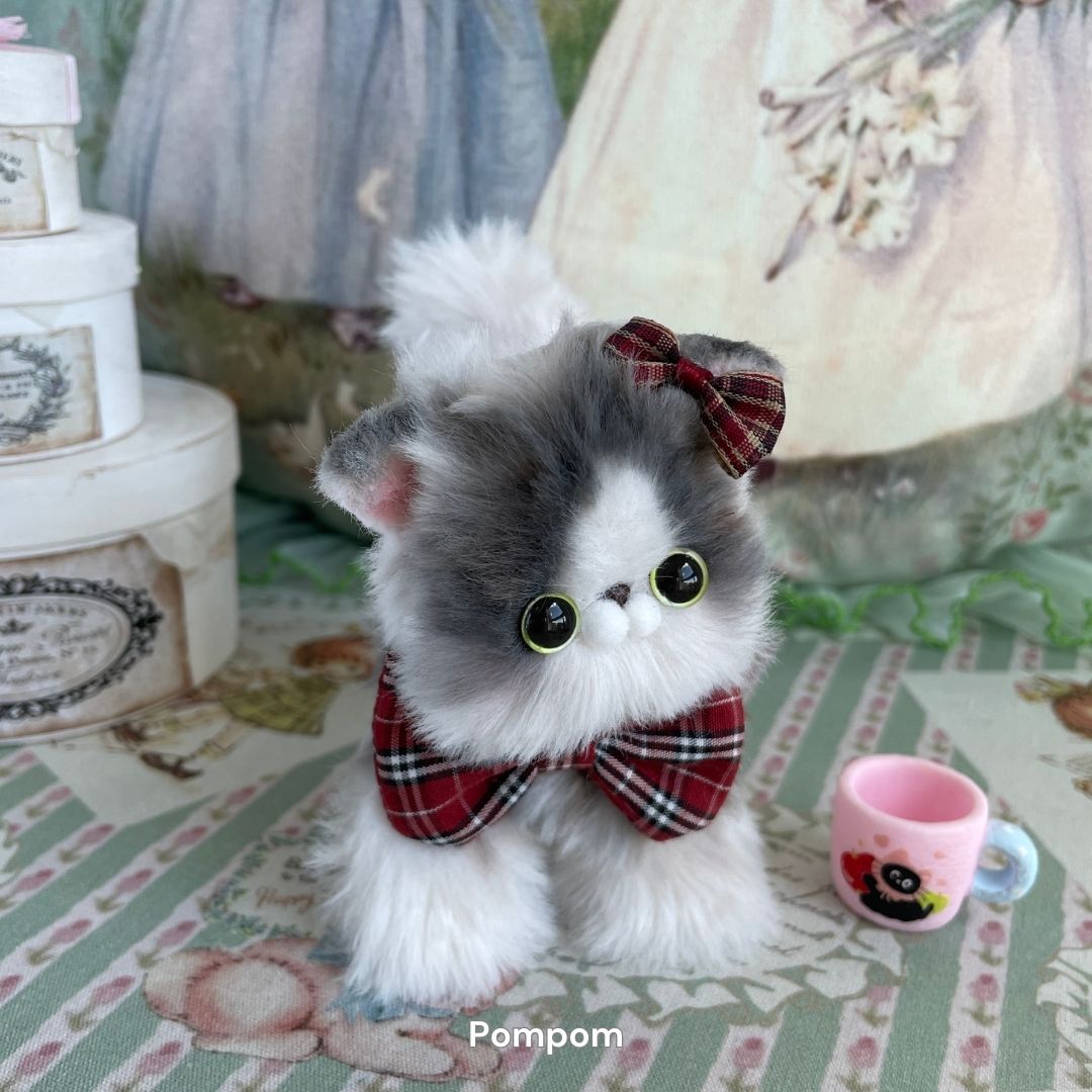 Dress-Up Kitten Collection
