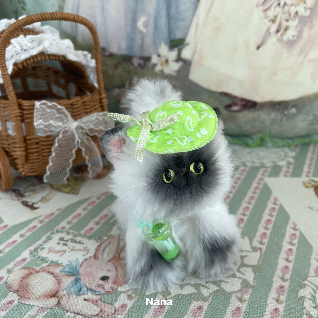 Adorable Kitten Collection