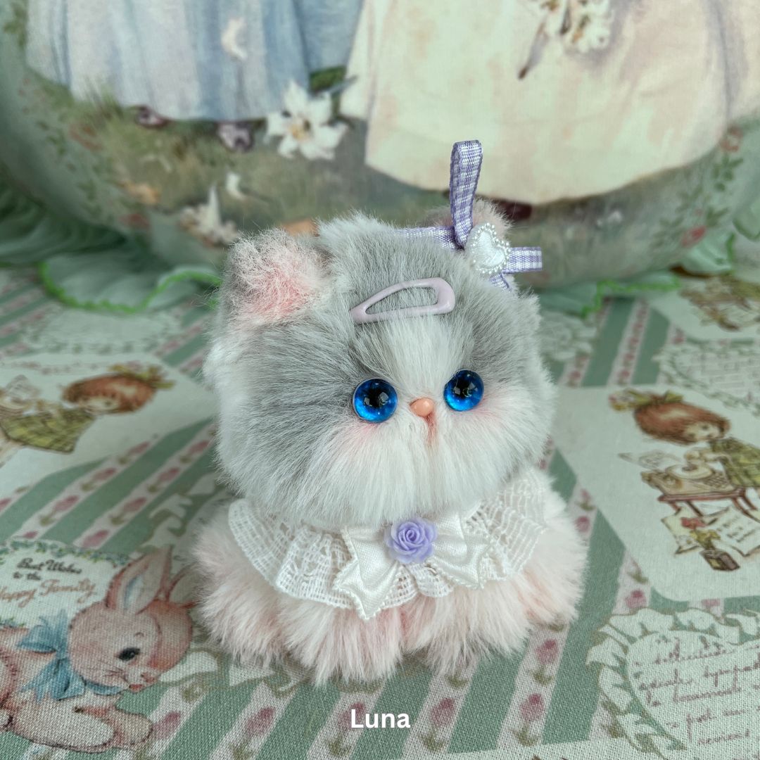 Cosplay Kitten Collection