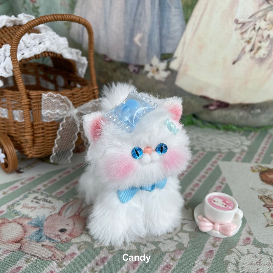 White Kitten Collection