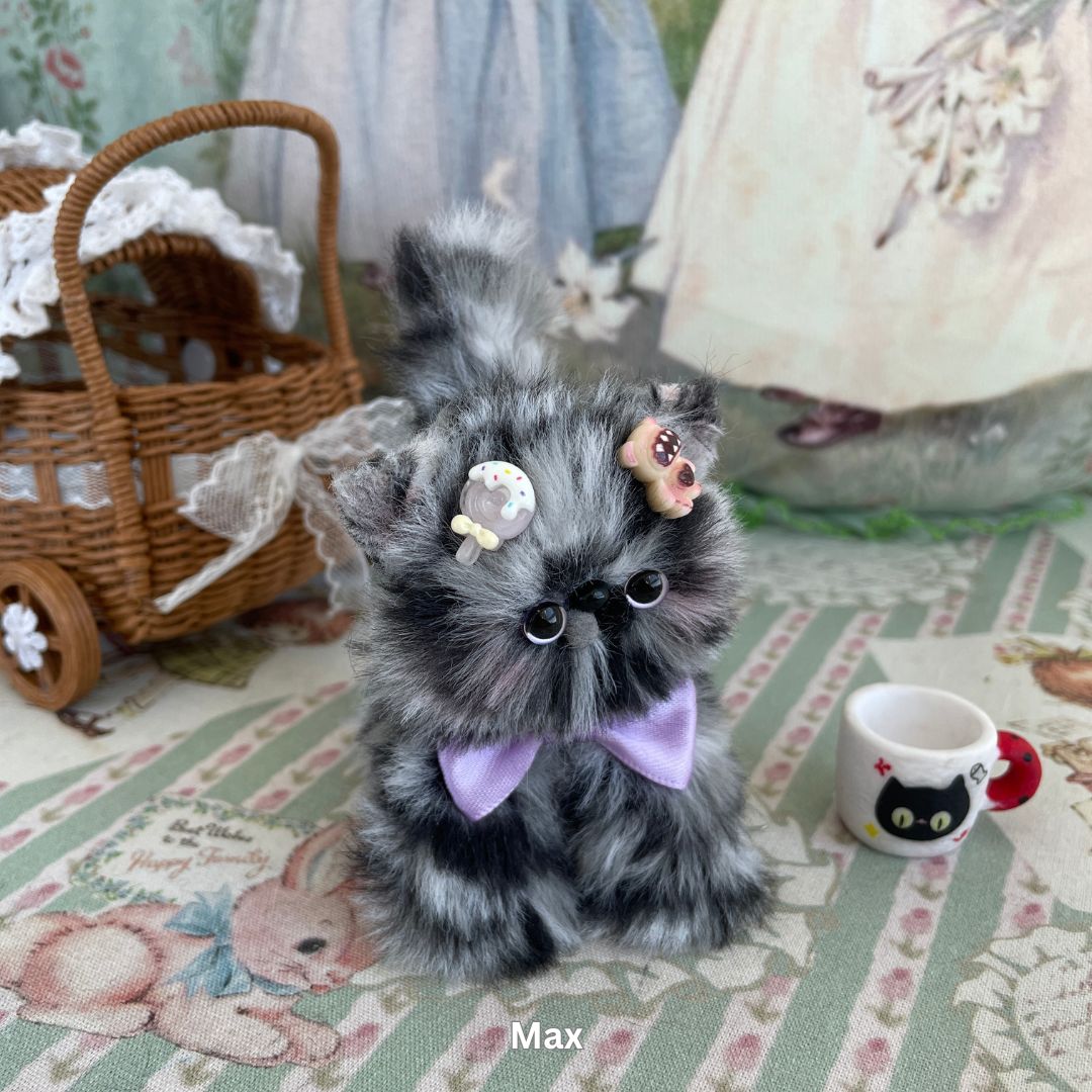 Adorable Kitten Collection