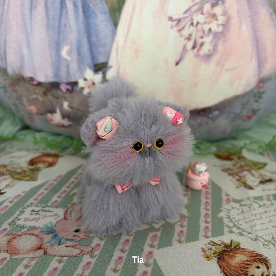 Grey Kitten Collection