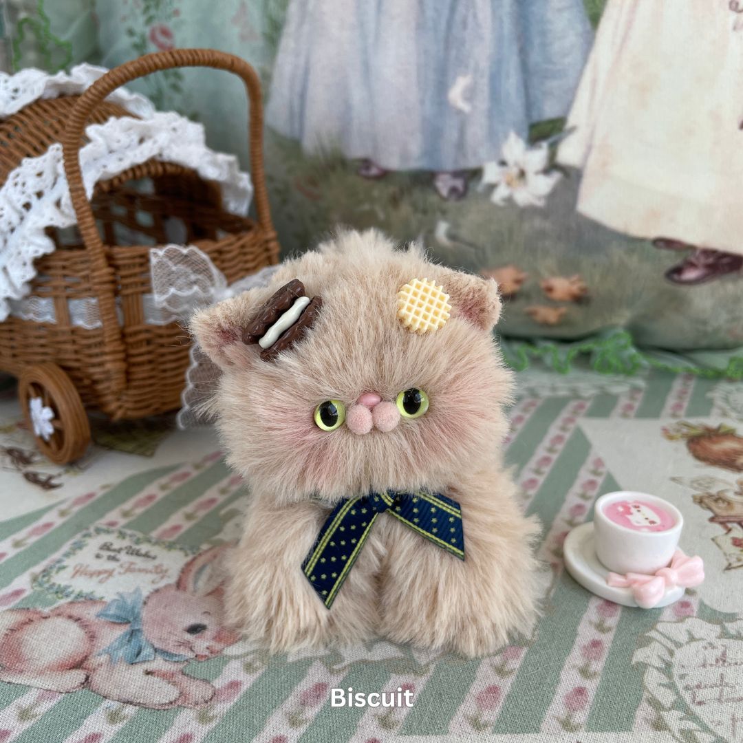 Brown Kitten Collection