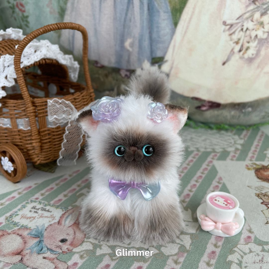 Adorable Kitten Collection