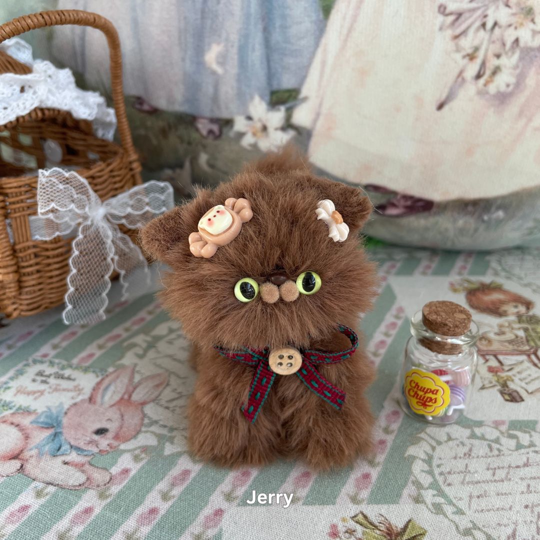 Brown Kitten Collection