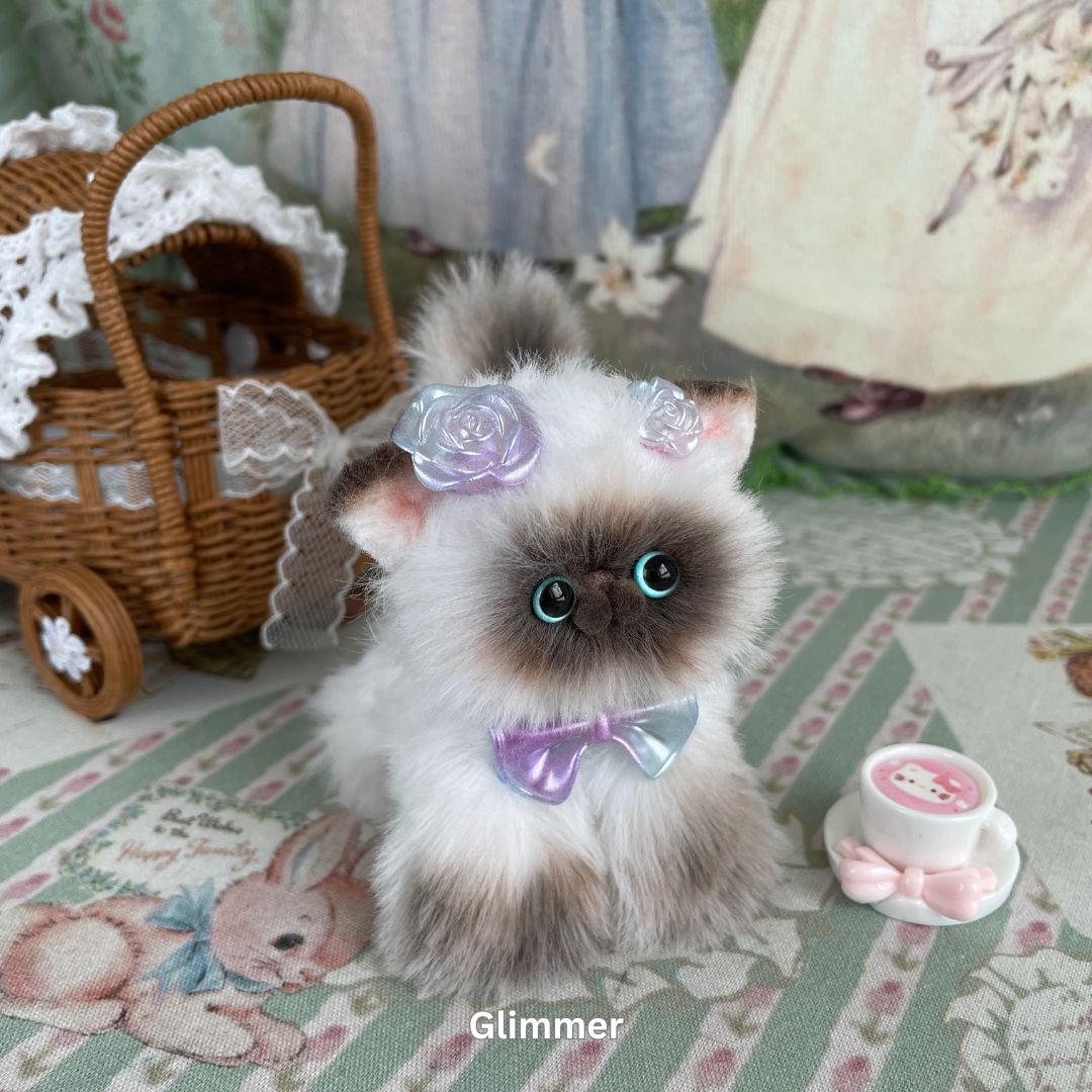 Adorable Kitten Collection