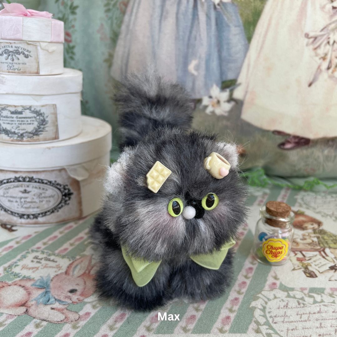 Fluffy Kitten Collection