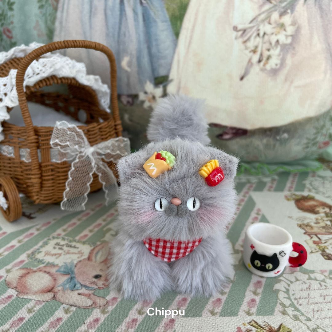 Gray Kitten Collection
