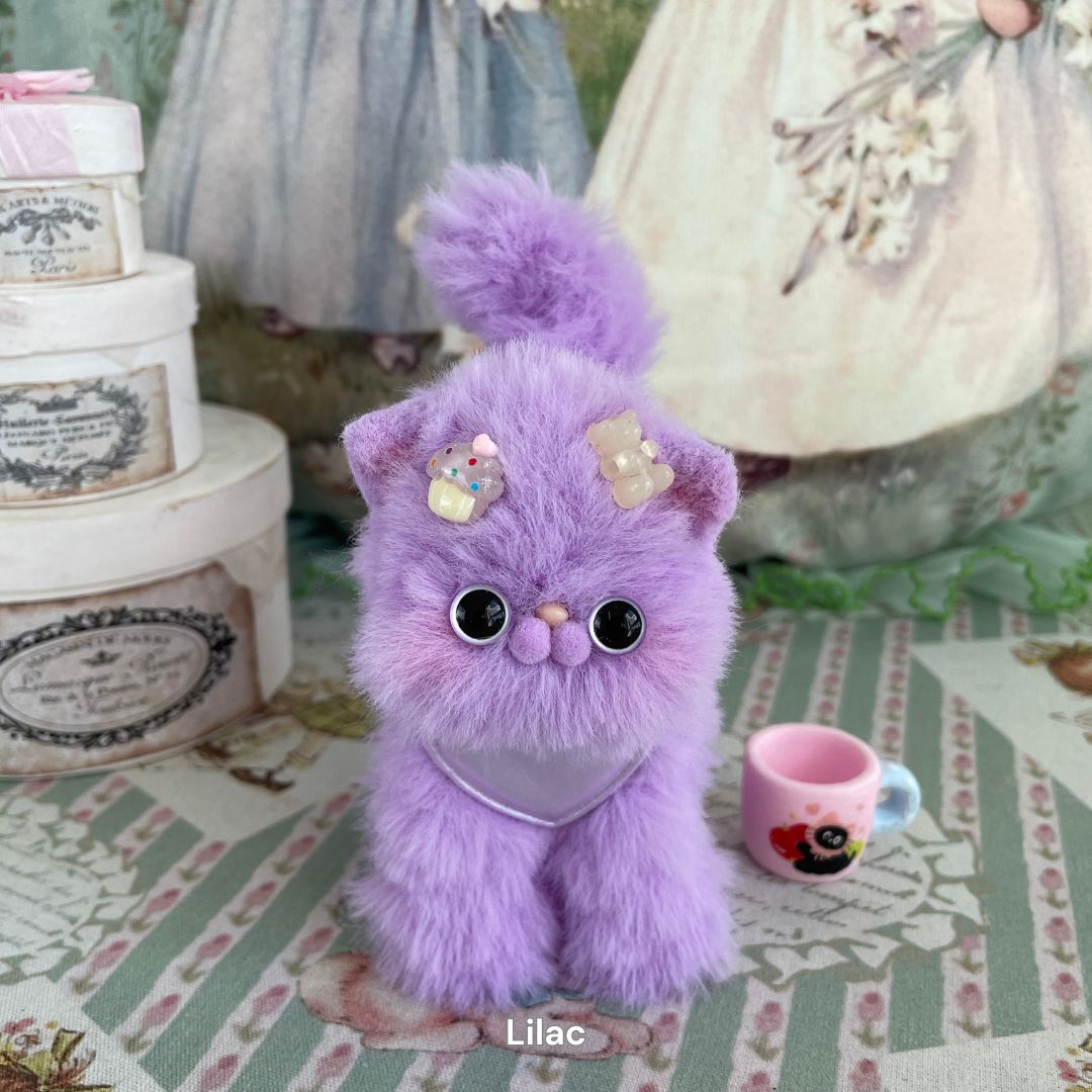 Dress-Up Kitten Collection