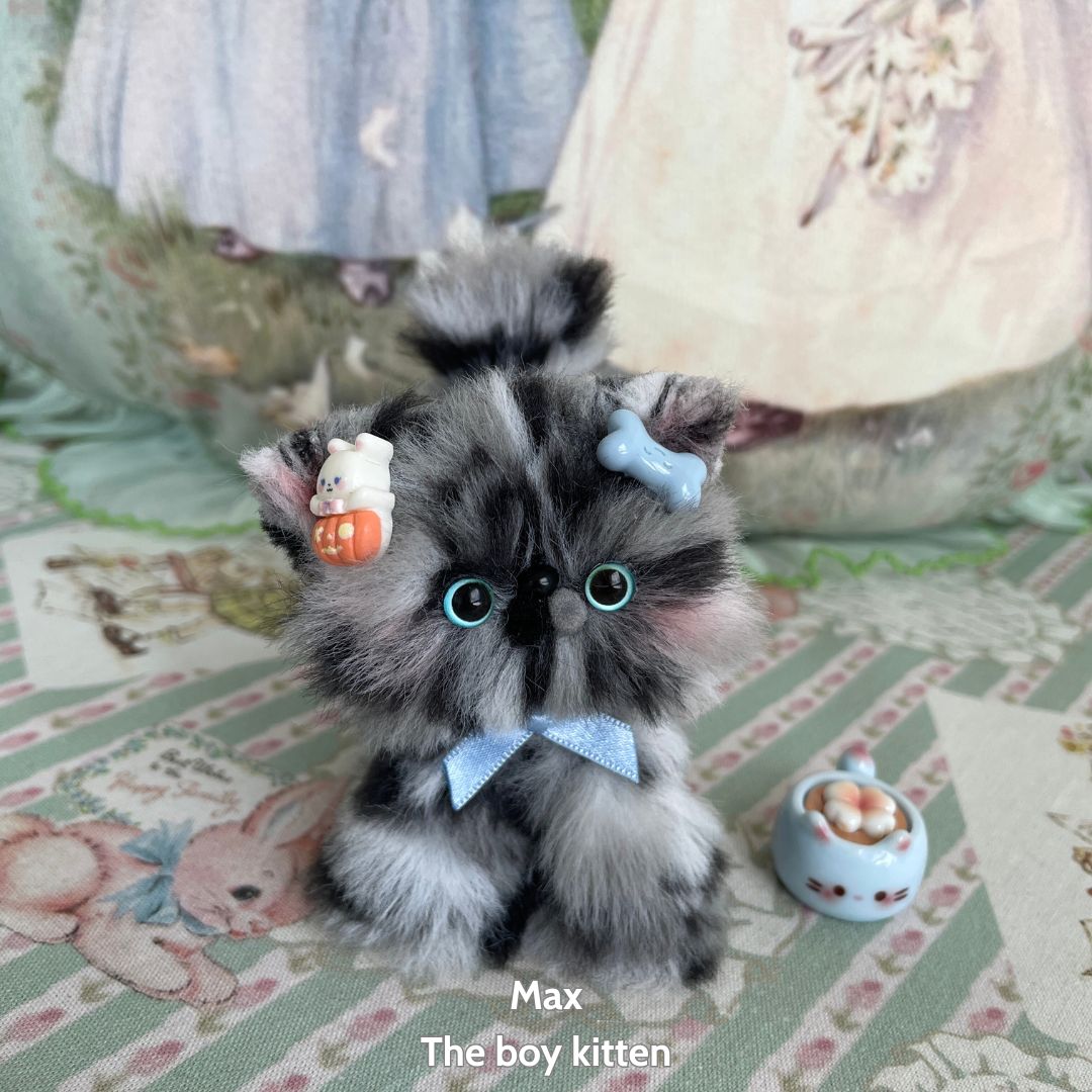 Adorable Kitten Collection