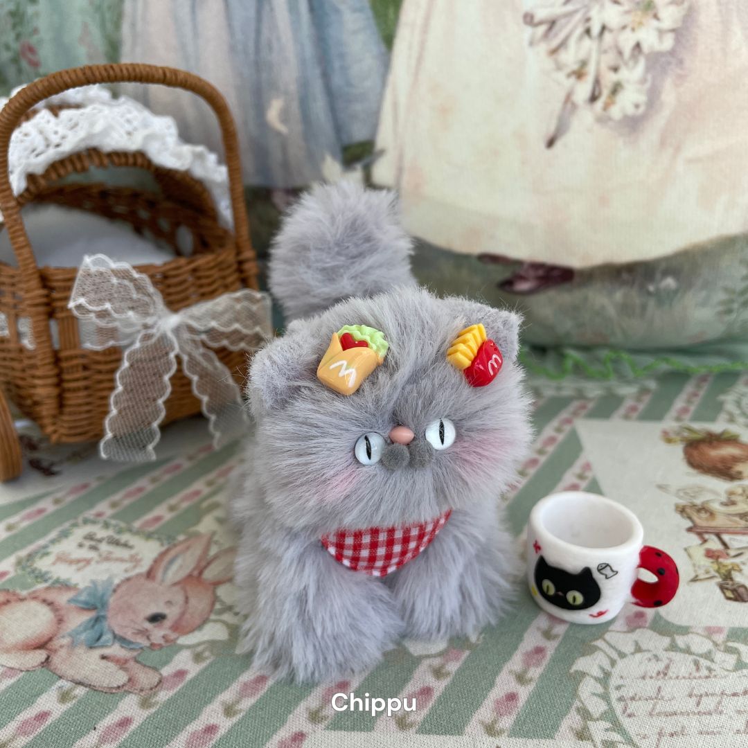 Gray Kitten Collection