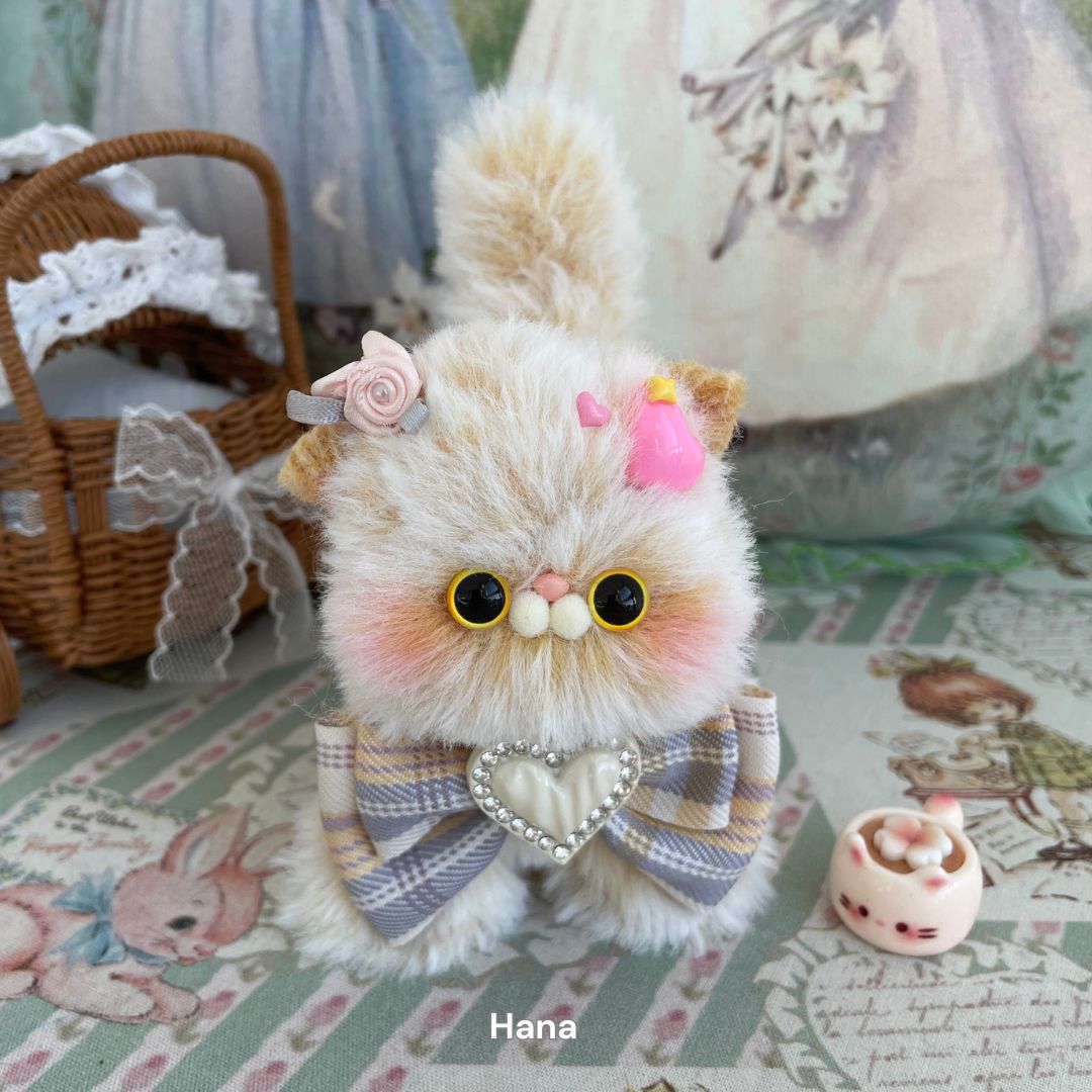 Dress-Up Kitten Collection